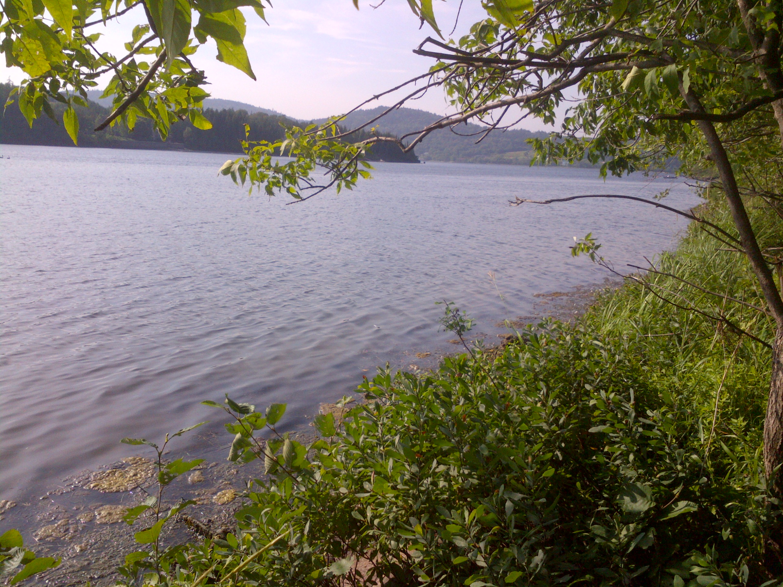 15.8 Acres Waterfront, Quispamsis Katherine Bacon