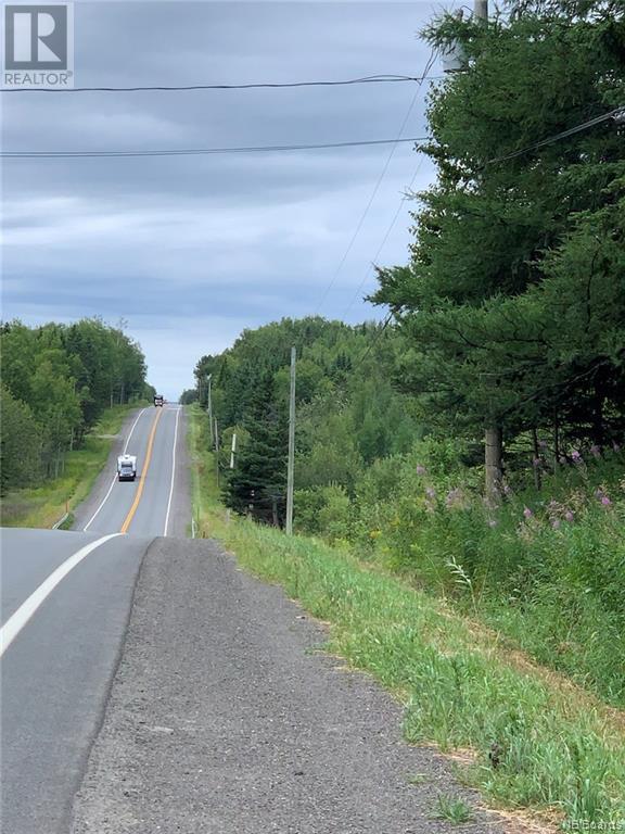 Lot Vacant 17 Route, Saint-Léonard-Parent, New Brunswick  E7E 2N7 - Photo 5 - NB077713