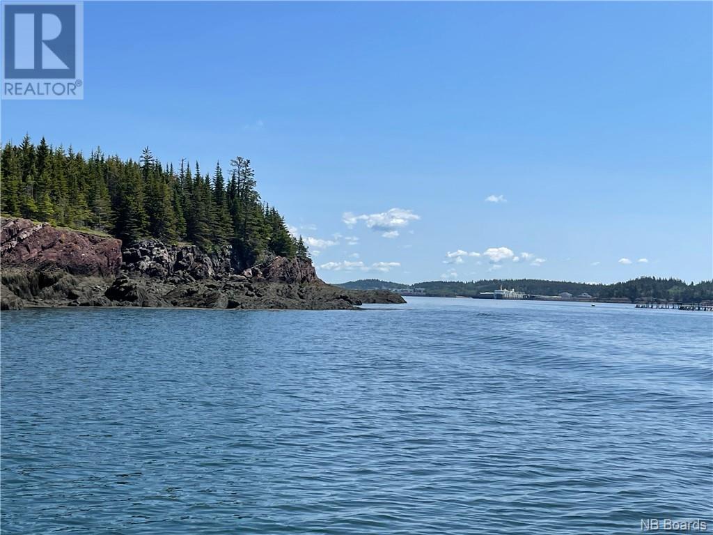 - Hills Island/mccann Island, Back Bay, New Brunswick  E5G 1G1 - Photo 5 - NB088749